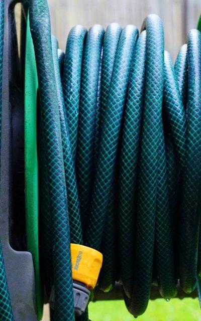 pexels-mikebirdy-127944 pexels-mikebirdy-127944